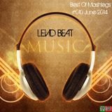 | Levid Beat | Best Of Mashlegs #010 June 2014