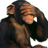 Monkey Time Radio Hour on WPVM 01.20.2015