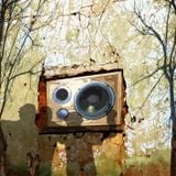 Pushin Wood Soundsystem - Winter's Going
