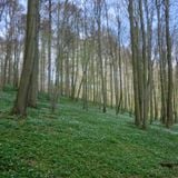 Biber - Spring Rising (2013-03-03)