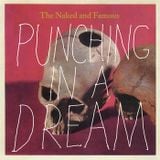 The Naked and the Famous - Punching in a Dream Remix -DJ Booch ft Jennifer Geary