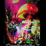 ॐ Ganjiadelic 7 - Summer Flash 2013 ॐ Day or Night Mix