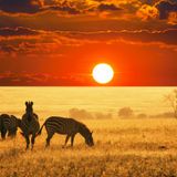 Afro Tribal Mix 2_ Dj Greg