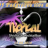 3h Best of Deep House 15.08.2014 live @ Tropical Langenau /\ DJ Padgroove /\