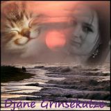 Djane Grinsekatze - Umzugsvatertagsdingens