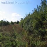 Hidden Paths (Ambient House Mix 1)