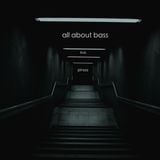 Pinaa - all about bass (live)
