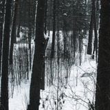 Drones, Gongs, Field Recordings and Songs.