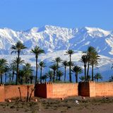 Deep in the Oasis
