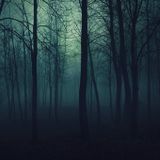 Midnight Haze