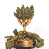 The Unofficial Cannabis Cup Mix JUNE 2014