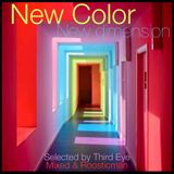 New Color New Dimension - Selected by Thirdeye Mixed & Roosticman