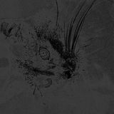 Konrad Black - Medusa Smile and others (DhARK 2013 - almost a mashup)