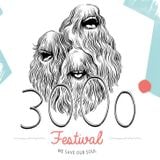 Carsten Rausch @ 3000 Grad Festival 2014