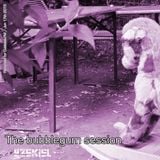 The Bubble Gum Session (Cuebase.FM Podcast June 2015)