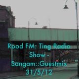 Rood FM: Ting Radio Show - Sangam::Guestmix 31/5/12