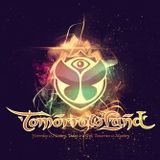 Armin Van Buuren - Live @ Tomorrowland (Belgium) 2014.07.25.