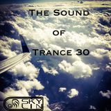 The Sound Of Trance 30