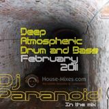 Neil paranoid Deep atmospheric mix Feb 2011 tracklisted