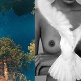 Φ ChΛnging the LΛndscΛpe Ψ 2012 #4