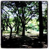 Free's Summer