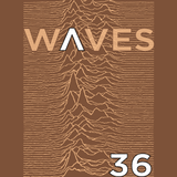 WΛVES #36 - "NOT SO COLD, A WARM WAVE COMPILATION" - 18/01/2015