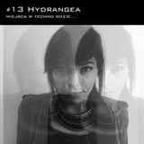 Miejsca w techno, gdzie... #013: Hydrangea