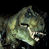 M4 - Scaly fury (set 02.01.16)