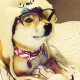 Never trust a Hipster (chapter II)