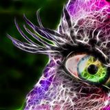 Qubitrix @ A Space Of Mind #003