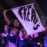 Interview - Freak's @ Swell Festival 2014