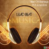 | Levid Beat | Best Of Mashlegs #011 June 2014