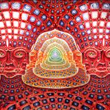 Liberation Upon Seeing - Net of Being
