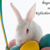 Biegnij za Kroliczkiem
