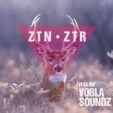 ZTN & ZTR - Vobla Soundz Mix