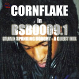 BSB0009.1 Brand Spanking Bought Guest Mix feat. Cornflake