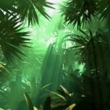 Jungle Sessions 1994