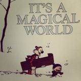 it's a magical world