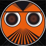 H.E.N.K. goes to Detroit II