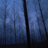 Nightwalk - a walking talk with, Tom Bailey, one of the creators of Nightwalk