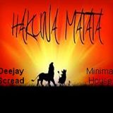 Deejay Scread - Matt - ha haa VS Hakuna Matata ( Minimal House)