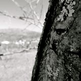 Palabranossa - live @