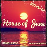 Daniel Pavic & DigitalHeadRush - House of June (Pt.2)