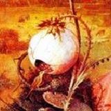 Greatest Mushroom-Pillow Hits vol.1