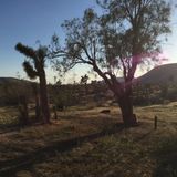 Desert Drive