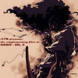SLM - The Complementary Files To Diggin' Vol. II - Side B (2009/12)