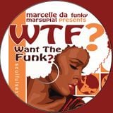 WTF? : Want The Funk??