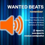 Wanted Beats November Mixed by Dj Paul