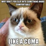 Grumpy Cats