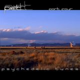 Piet Kaempfer - Psychedelic Tunes 4
